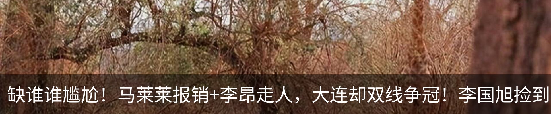 行业资讯